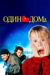 Один дома 1